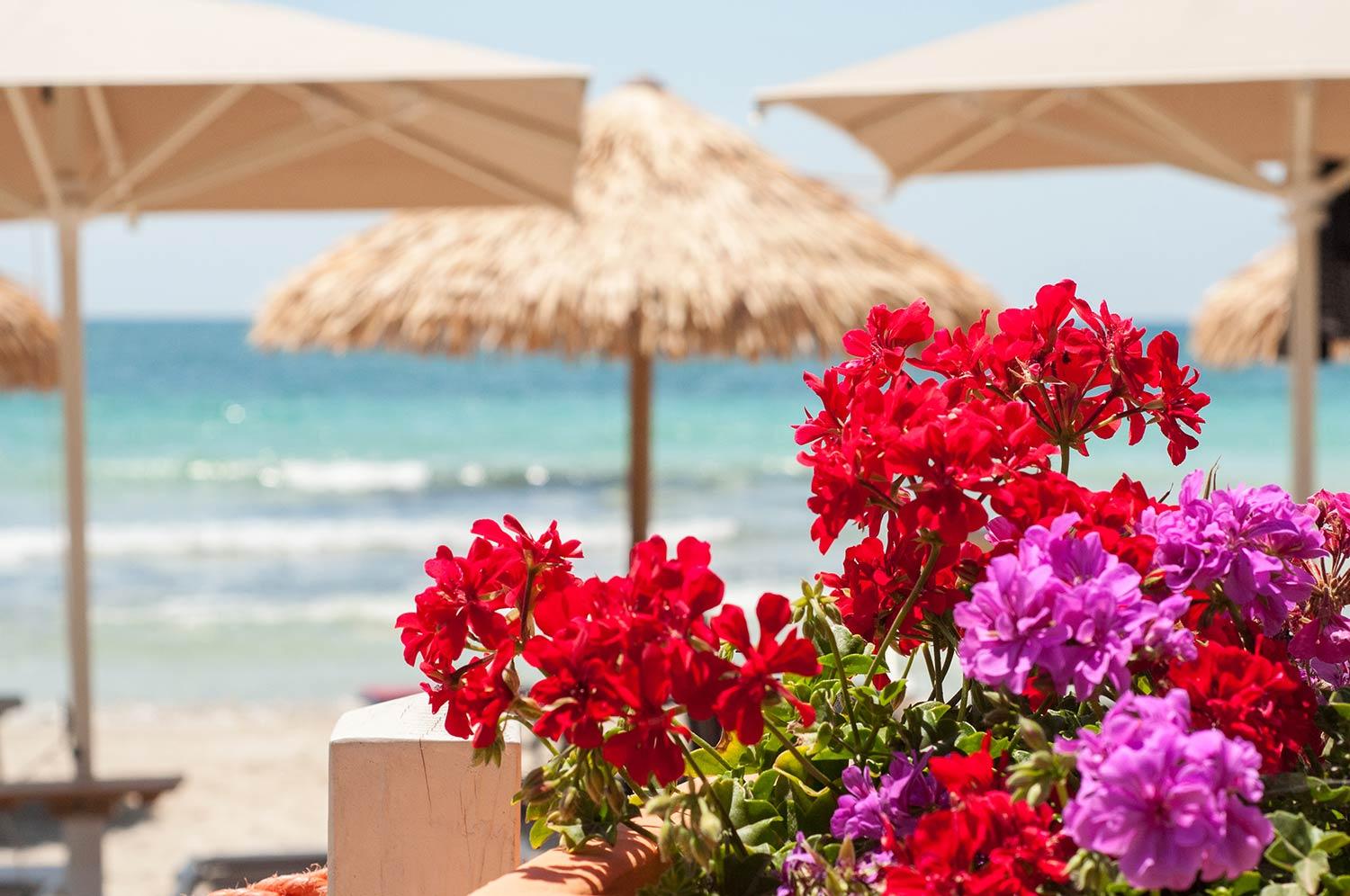 Conchiglia Azzurra Resort & Beach Porto Cesareo Exterior foto